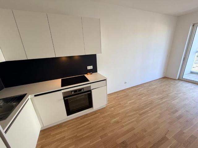 Apartment mieten in Katastralgemeinde Rudersdorf, Graz