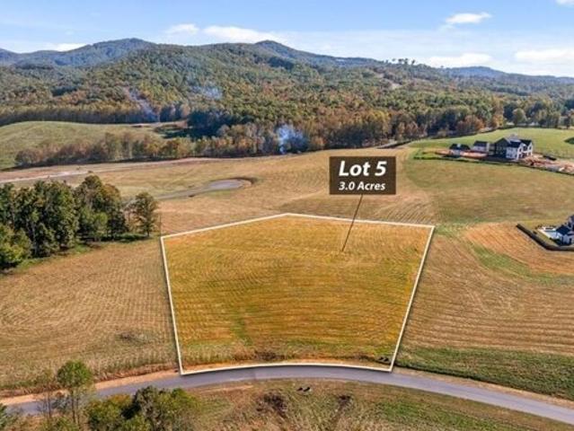 Land for sale in Gilmer, Georgia