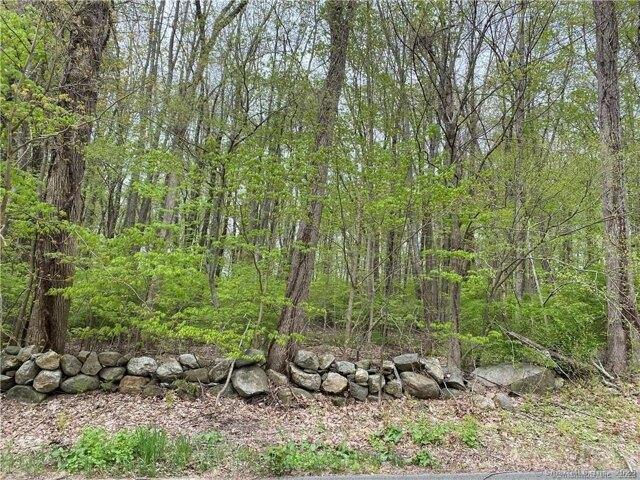 Land for sale in Pomfret