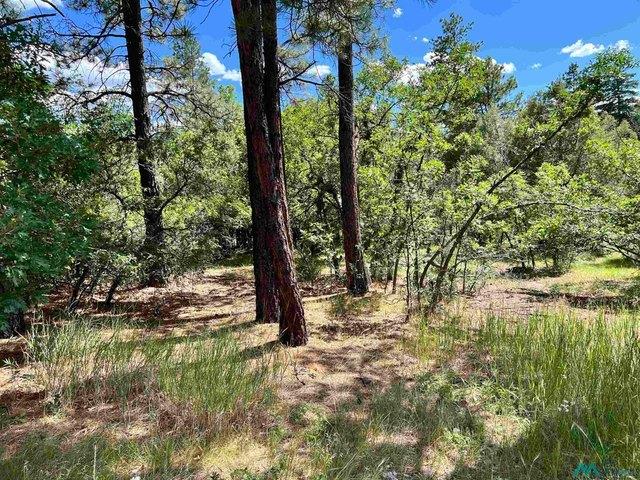 Land for sale in Chama, New Mexico