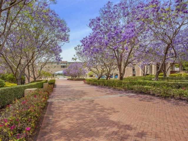 Apartment for rent in Varsity Lakes, Gold Coast City