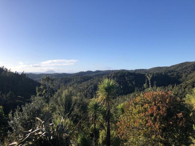House for rent in Whangarei, Northland