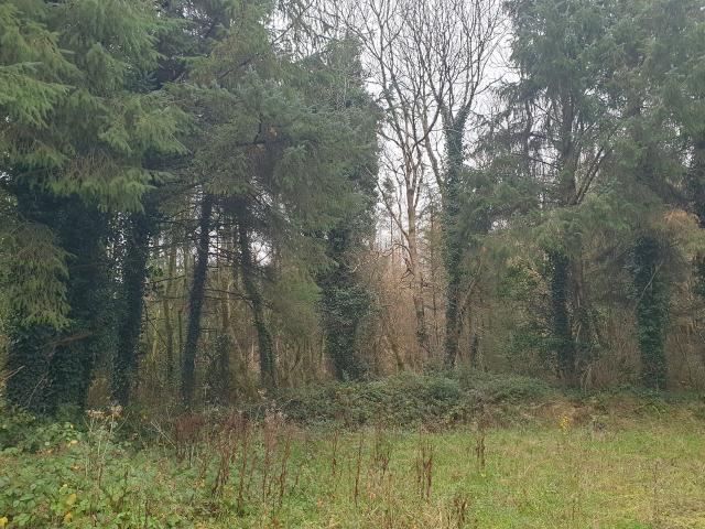 Farm for sale in Castlerea