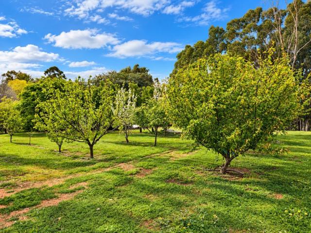 Land for sale in Bridgetown, Shire Of Bridgetown-Greenbushes