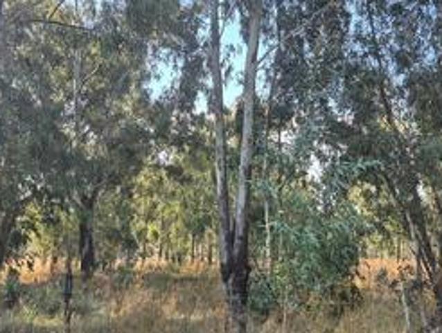 Farm for sale in Midvaal, Gauteng