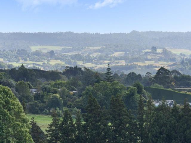 Land for sale in Whakamarama, Bay Of Plenty