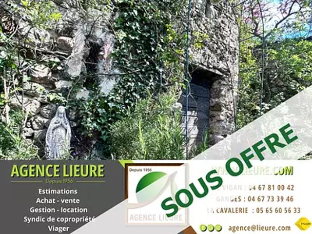 Maison vente à Le Vigan, Bréau-et-salagosse