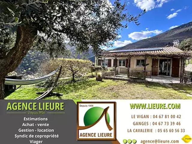 Maison vente à Le Vigan, Bréau-et-salagosse