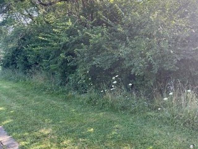 Land for sale in Independence, Cuyahoga County