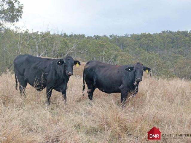 Cottage for sale in Eidsvold, Queensland