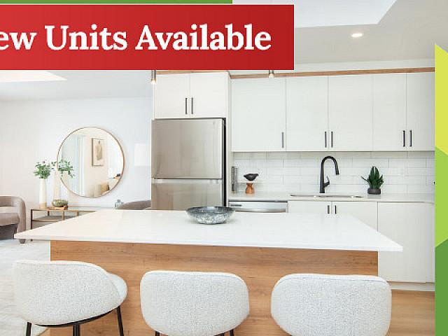 House for rent in St. Albert