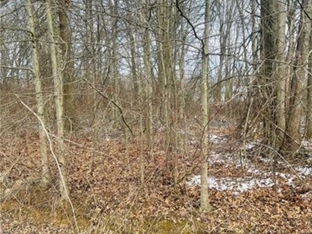 Land for sale in Orwell, Ohio