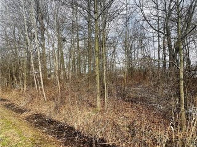 Land for sale in Orwell, Ohio