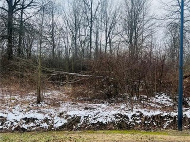 Land for sale in Orwell, Ohio