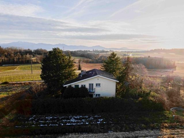 Einfamilienhaus kaufen in Echandens, Waadt