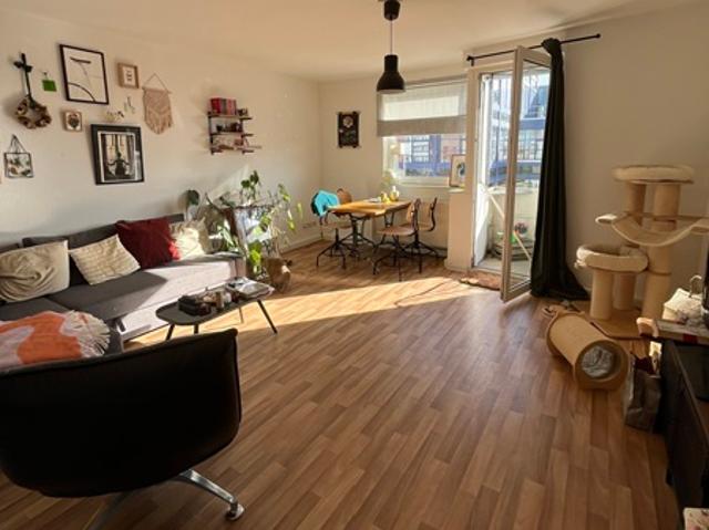 Apartment mieten in Wischhafen, Niedersachsen