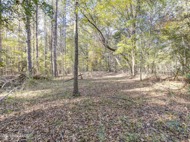Land for sale in Brandon, Rankin County