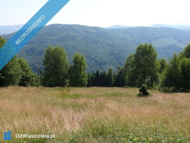 Grunt na sprzedaż w Jaworze, Śląskie