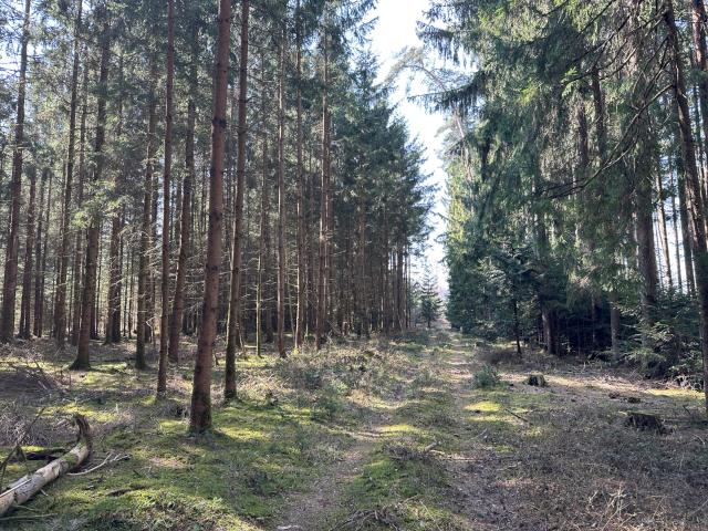 Landwirtschaft kaufen in Babensham, Bayern