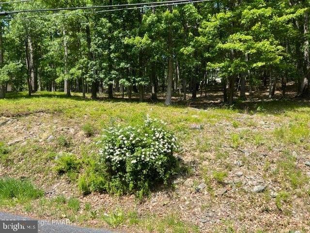 Land for sale in Dingmans Ferry, Pennsylvania