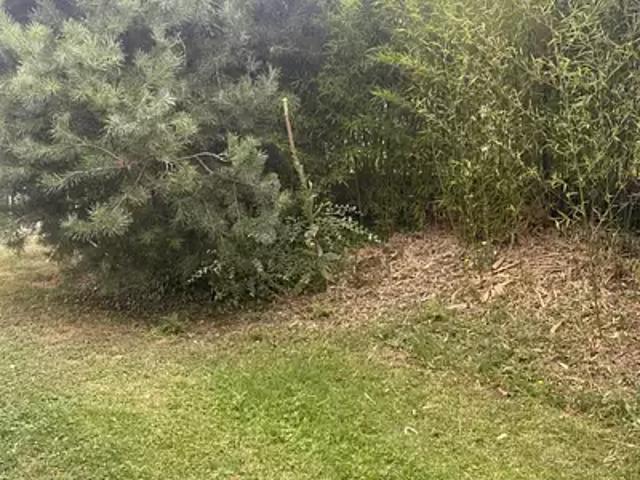 Terrain vente à Palaiseau, Brétigny-sur-orge