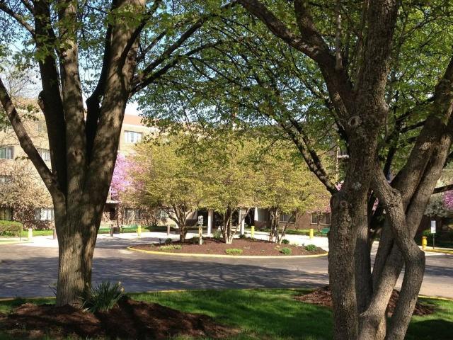 Apartment for rent in Third Ward, Grand Rapids