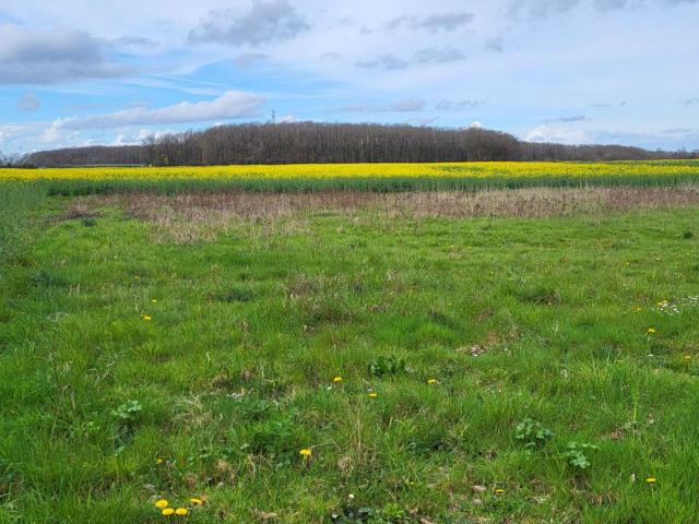 Terrain vente à Bernay, Breux-sur-avre