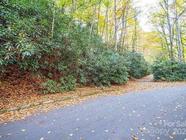Land for sale in Transylvania, North Carolina