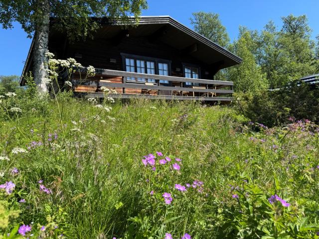 Hus till salu i Västerbotten