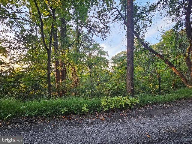 Land for sale in Front Royal, Warren County