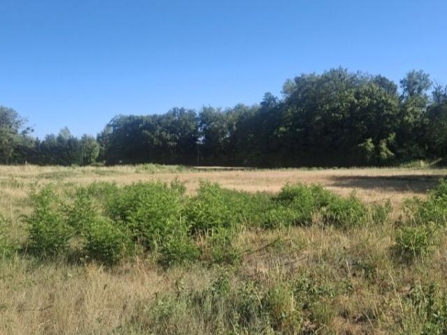 Terrain vente à Montargis, Briare