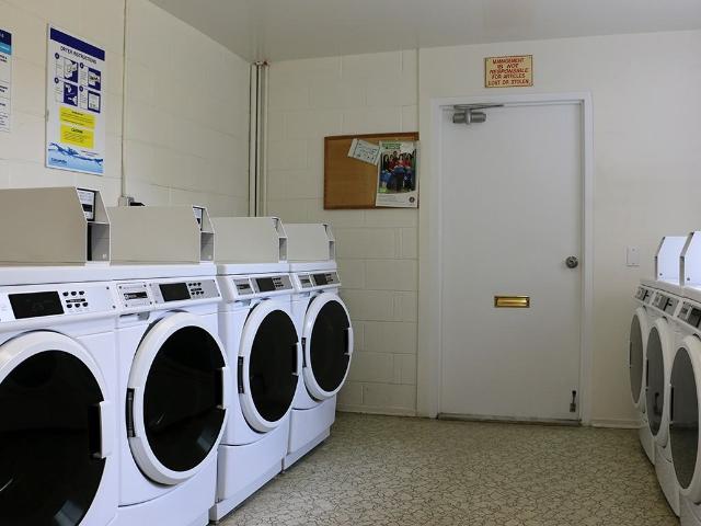 Apartment for rent in Kingston, Ontario