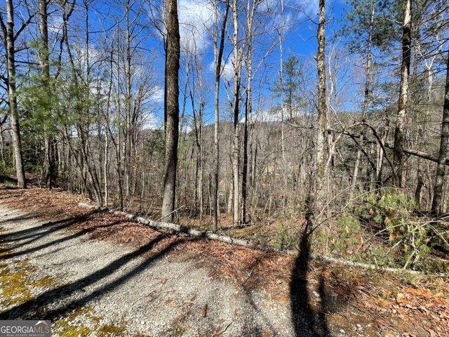 Land for sale in Tiger, Georgia