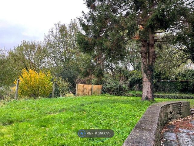 Apartment for rent in Wales