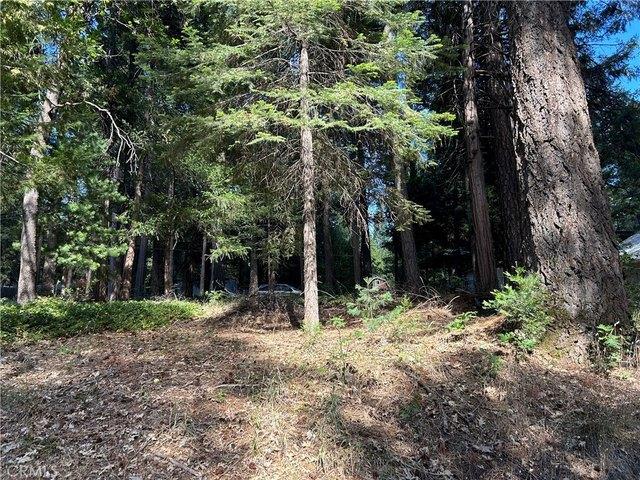 Land for sale in Butte, California