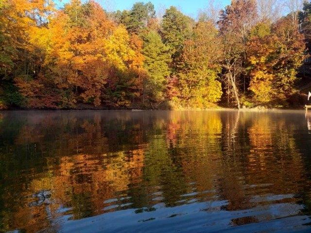Land for sale in Virginia
