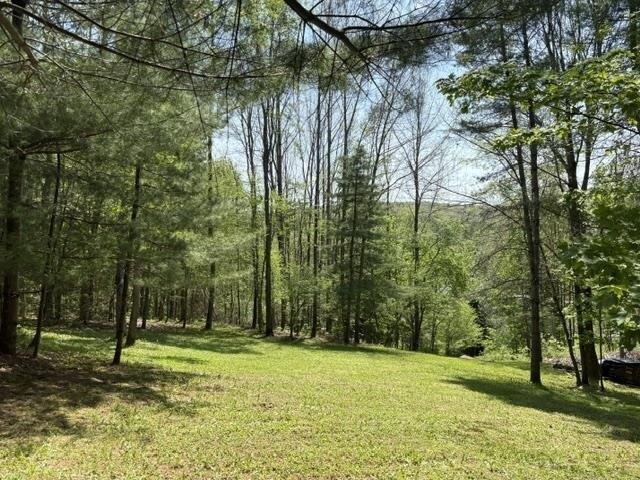 Land for sale in Bridgewater, Vermont