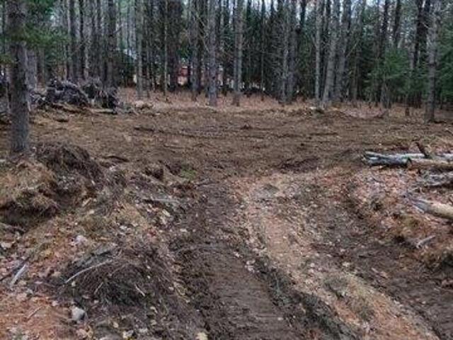 Land for sale in Bridgton, Maine