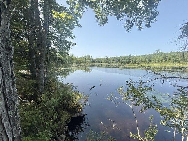 Land for sale in Bridgton, Maine
