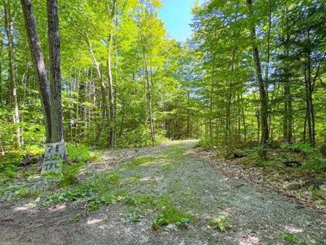 Land for sale in Bridgton, Maine