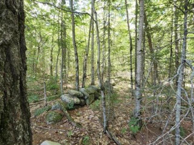 Land for sale in Sebago, Maine