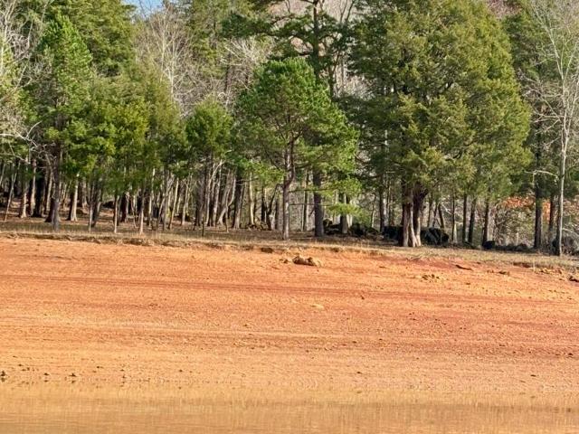 Land for sale in Tennessee