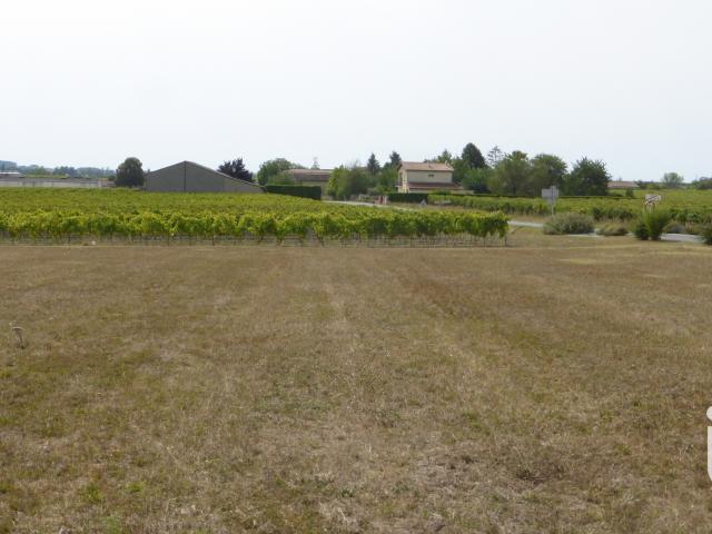 Terrain vente à Jonzac, Brie-sous-archiac