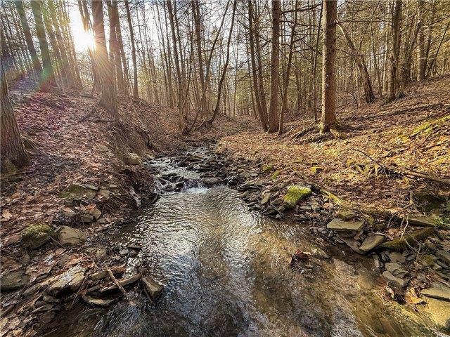 Land for sale in Van Etten, New York