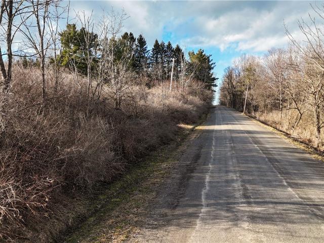 Land for sale in Van Etten, New York