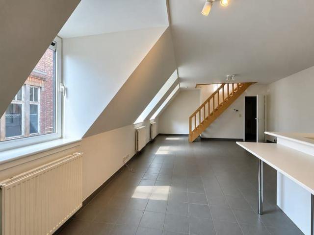 Kot location à Eeklo, Oost-Vlaanderen