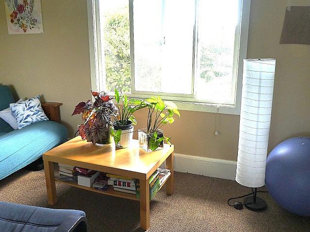 Duplex for rent in Saanich, British Columbia