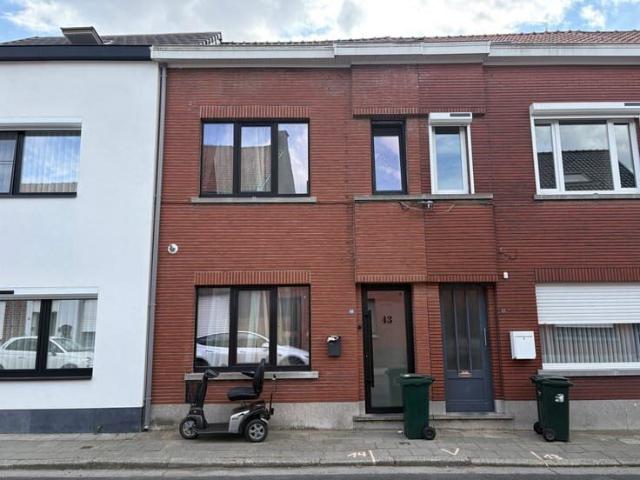 Maison location à Renaix, Oost-Vlaanderen