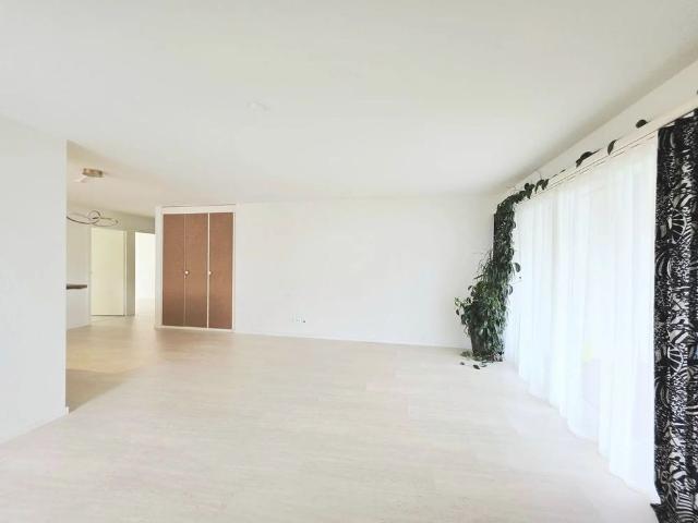 Apartment mieten in Egg, Zürich