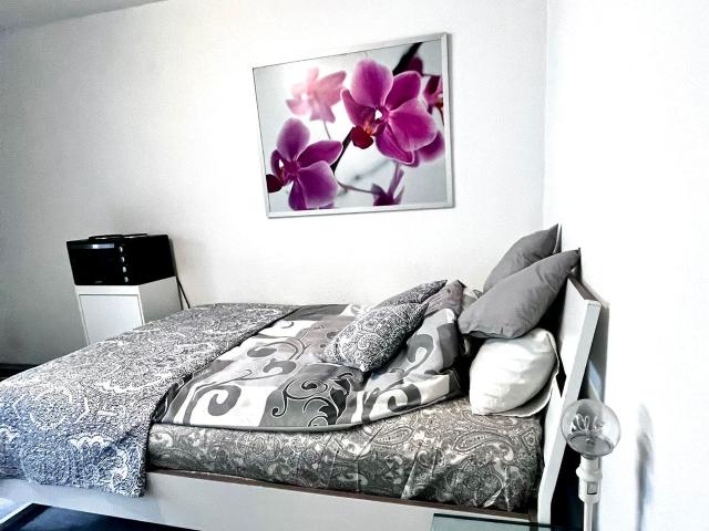 Apartment mieten in Derendorf, Düsseldorf